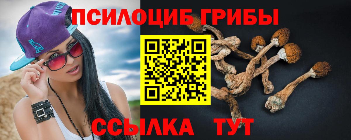 Псилоцибиновые грибы Psilocybine cubensis  Вход с VPN  продажа наркотиков  Сердобск 